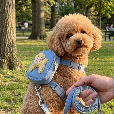 Harnais pour chien 