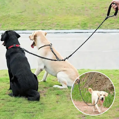Laisse double pour chien