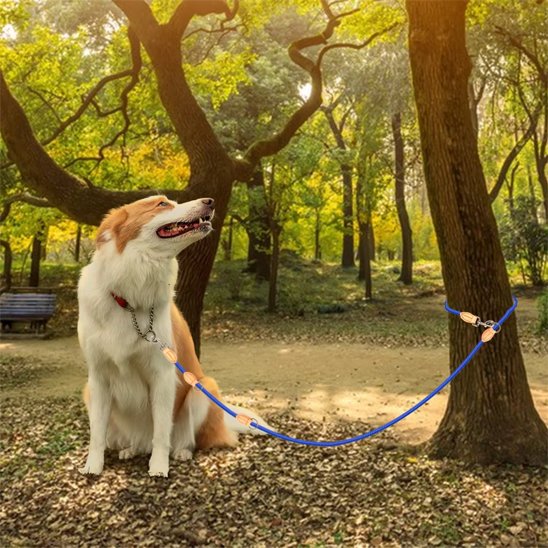 Laisse double pour chien