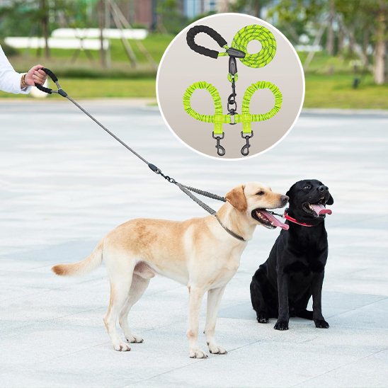 Laisse double pour chien